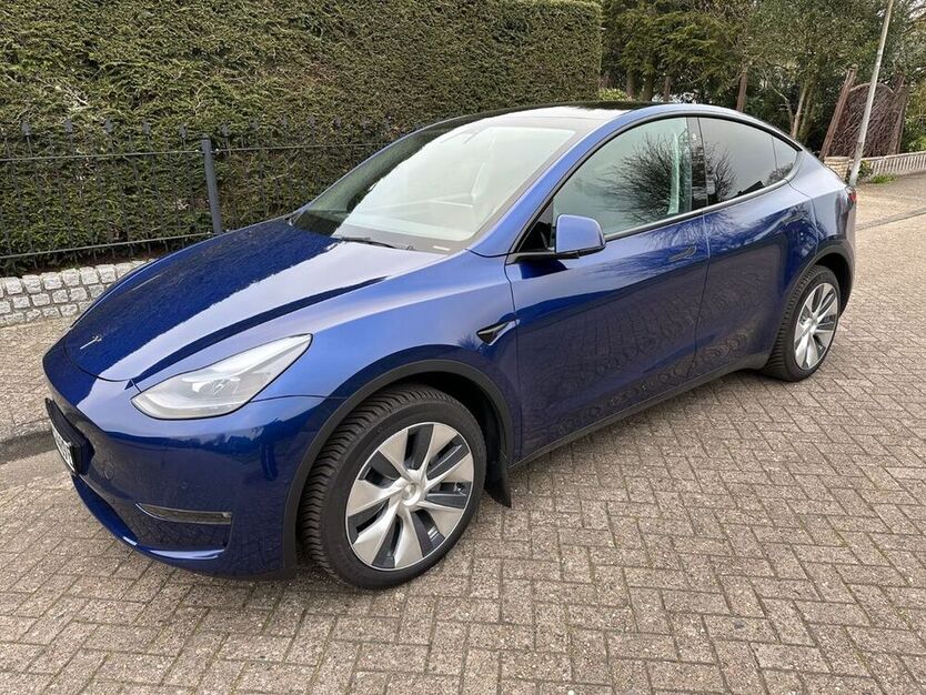 Model Y