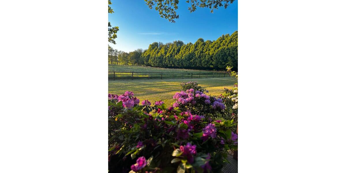 Einfamilienhaus Ritterhude - 3 Zimmer, 100 m&sup2;, 1.450&euro; | Angebot:25919591