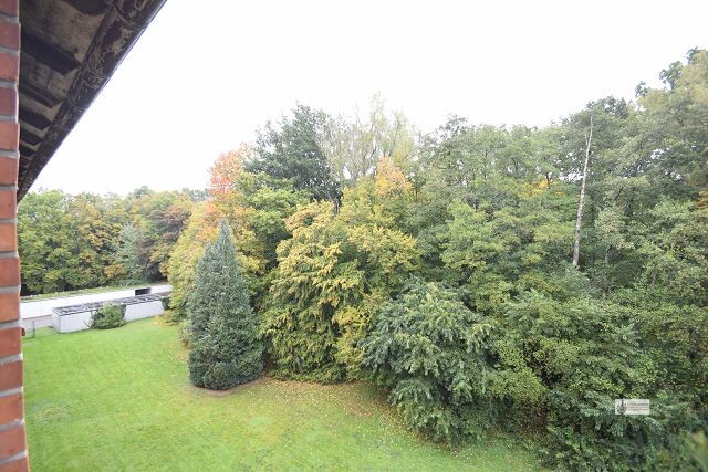 Gemütliche ETW + EBK + Balkon direkt am Sodenmattsee sehr gepflegter Zustand für 1 Pärchen mit 1 Kind - Etagenwohnung Bremen / Huchting Huchting | Angebot:24212722