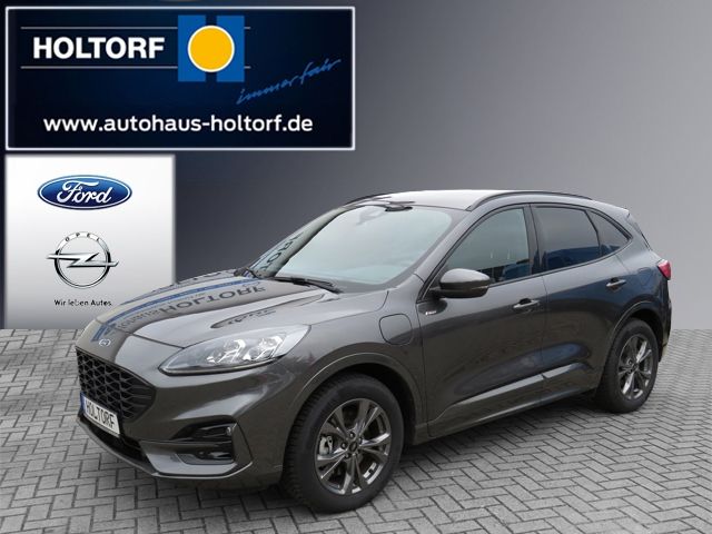 Kuga