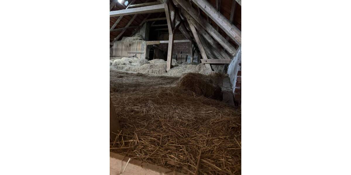 Mehrfamilienhaus, Wohnhaus Emtinghausen - 7 Zimmer, 127 m&sup2;, 885.000&euro; | Angebot:26891645