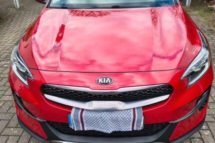 Kia XCeed 33.500 km 21.400 &euro; Reeßum 27367