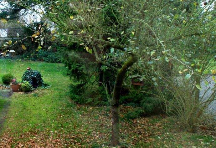 Mehrfamilienhaus, Wohnhaus Bremen Ellenerbrok-Schevemoor - 1 Zimmer, 317 m&sup2;, 649.000&euro; | Angebot:25801717