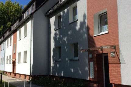 Die gefällt mir: 3-Zimmer-Wohnung 3 zimmer