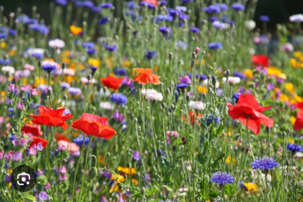 Wohnung Bremen Gröpelingen - 150&euro; | Angebot:24494649