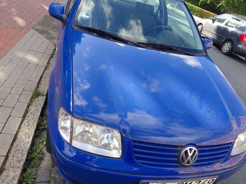 Polo