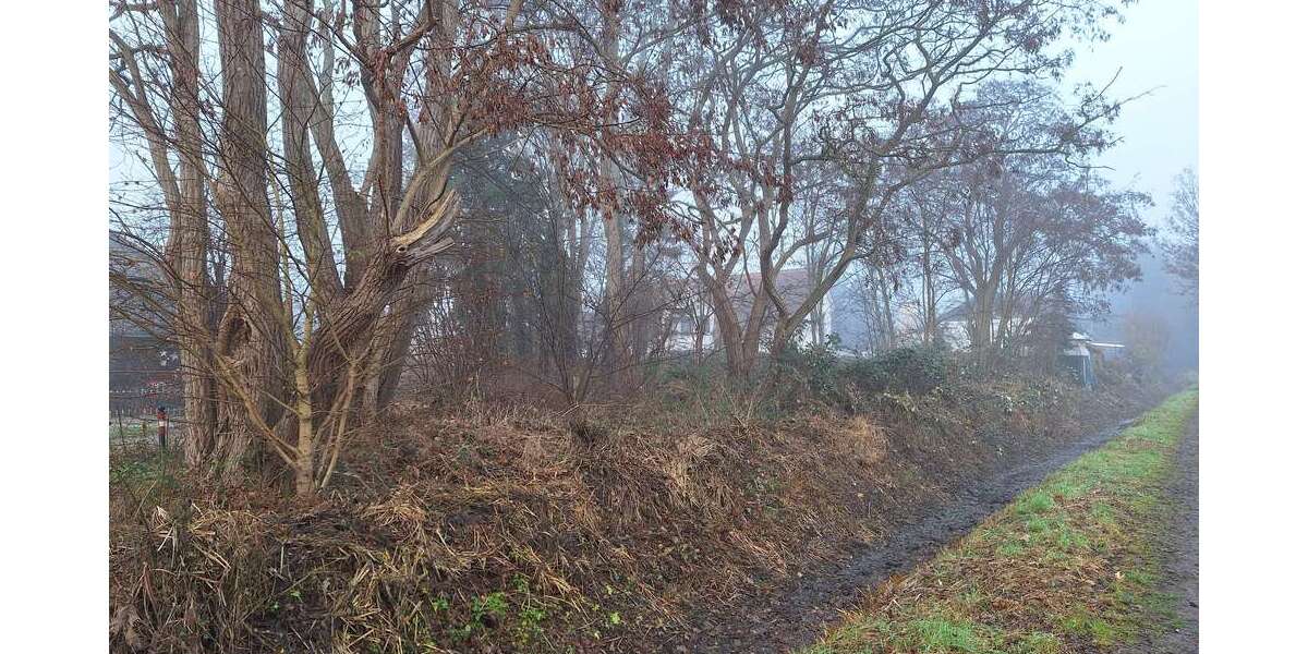 Grundstück zu verkaufen in Bremen 229.000 € 579 m² zimmer