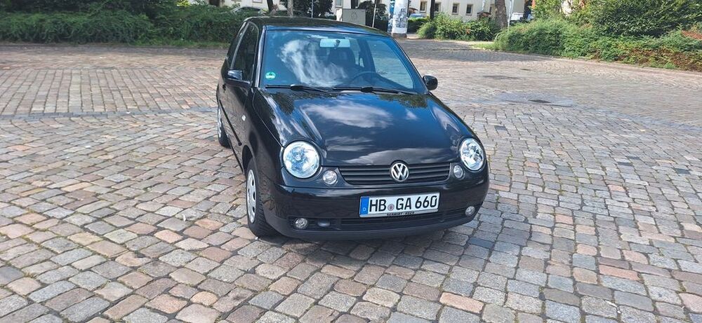 Lupo