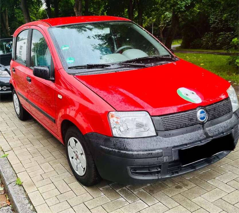 Panda