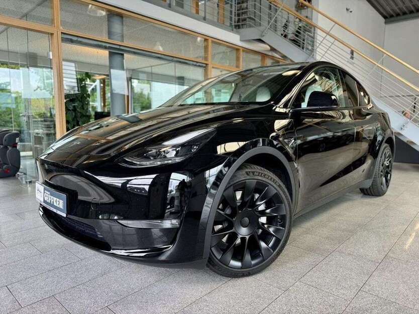 Model Y