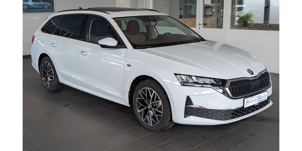 Skoda Octavia 27.438 km 29.950 &euro; Achim Bierden 28832