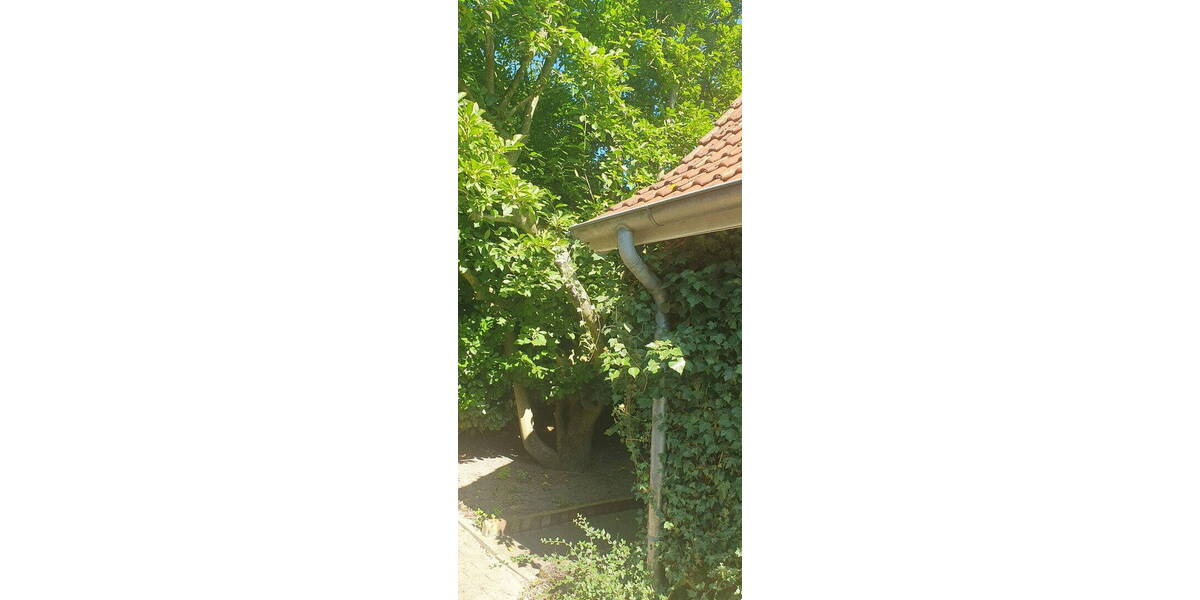 Bauernhaus, Landhaus Quelkhorn Quelkhorn - 1 Zimmer, 212 m&sup2;, 440.000&euro; | Angebot:26218204