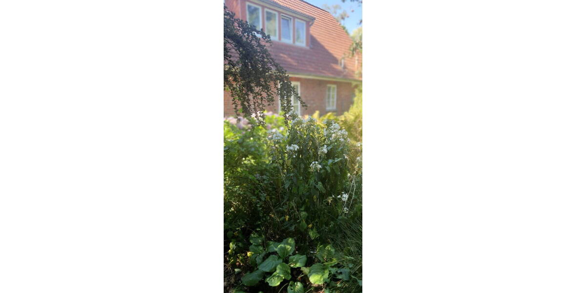 Bauernhaus, Landhaus Quelkhorn Quelkhorn - 1 Zimmer, 212 m&sup2;, 440.000&euro; | Angebot:26218204