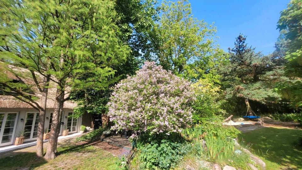 Einfamilienhaus Schwanewede - 7 Zimmer, 208 m&sup2;, 499.000&euro; | Angebot:27231452