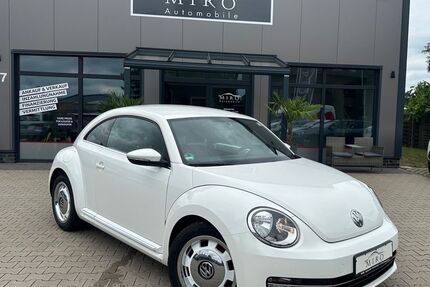 VW Beetle