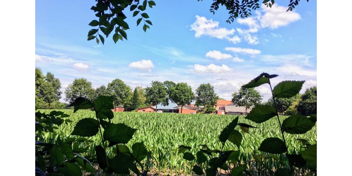 Bungalow Hude (Oldenburg) - 3 Zimmer, 121 m&sup2;, 429.000&euro; | Angebot:26421359