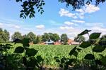 Bungalow Hude (Oldenburg) - 3 Zimmer, 121 m&sup2;, 429.000&euro; | Angebot:26421359