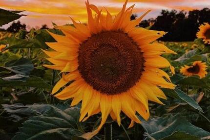 Hofgemeinschaftsgründung-nahe Ottersberg 15 zimmer