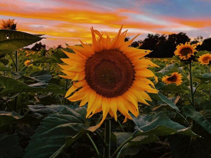 Hofgemeinschaftsgründung-nahe Ottersberg 15 zimmer