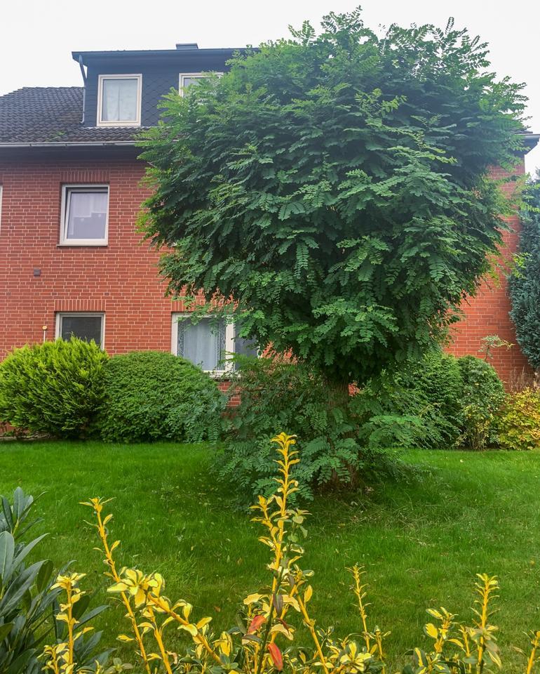Schöne 104 qm EG Wohnung in Bassum zimmer