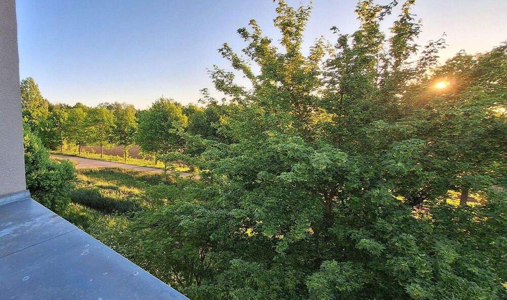 Reihenendhaus Bremen Oberneuland - 5 Zimmer, 180 m&sup2;, 795.000&euro; | Angebot:25052352