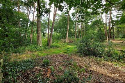 Grundstück Worpswede / Neu Sankt Jürgen Neu Sankt Jürgen - 165.000&euro; | Angebot:25727269