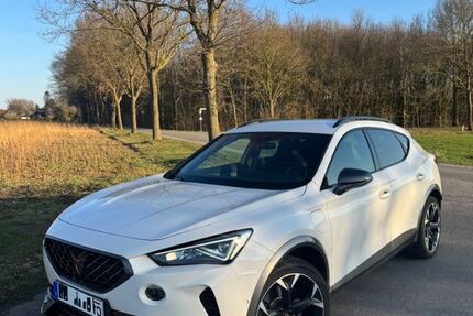 Cupra Formentor 69.203 km 22.500 &euro; Stuhr 28816