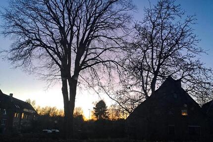 Gewerbeobjekt Syke - 600&euro; | Angebot:25102744