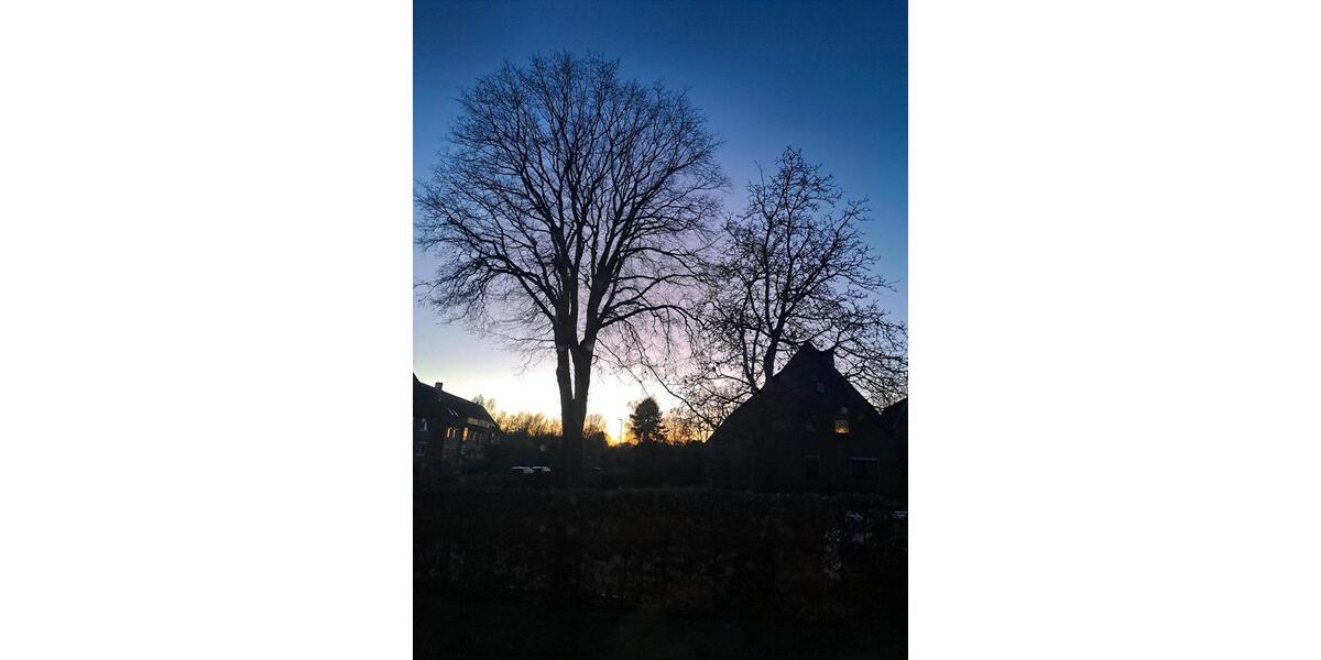 Gewerbeobjekt Syke - 600&euro; | Angebot:25102744