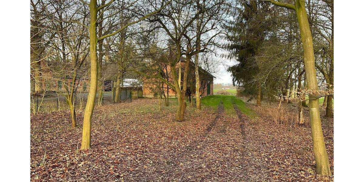 Mehrfamilienhaus, Wohnhaus Ottersberg Giersdorf - 9 Zimmer, 220 m&sup2;, 420.000&euro; | Angebot:25245276