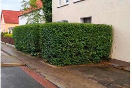 Wohnung Bremen Blumenthal - 4 Zimmer, 105 m&sup2;, 1.150&euro; | Angebot:25976818