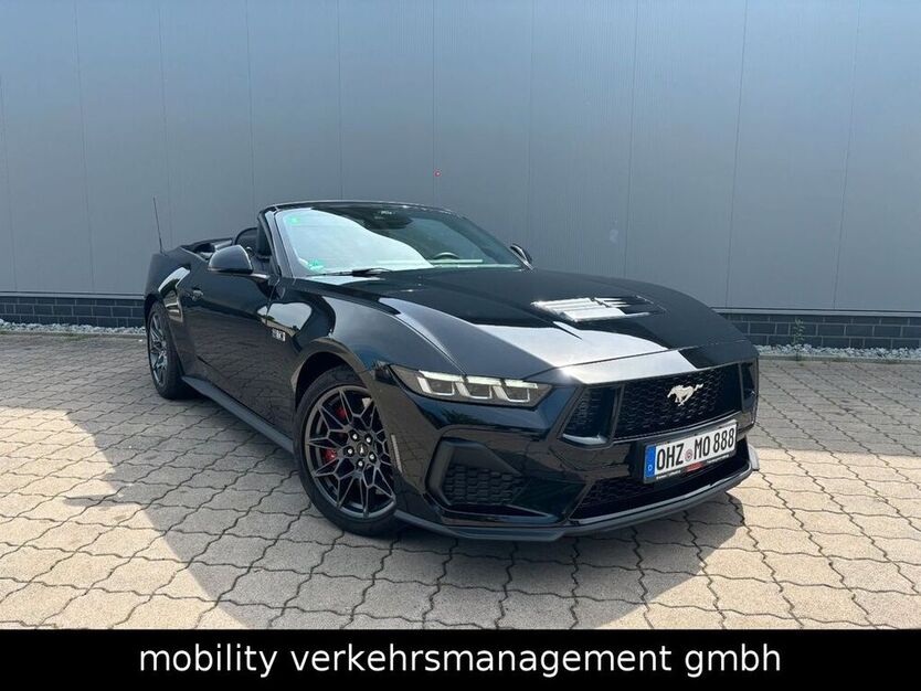 Mustang