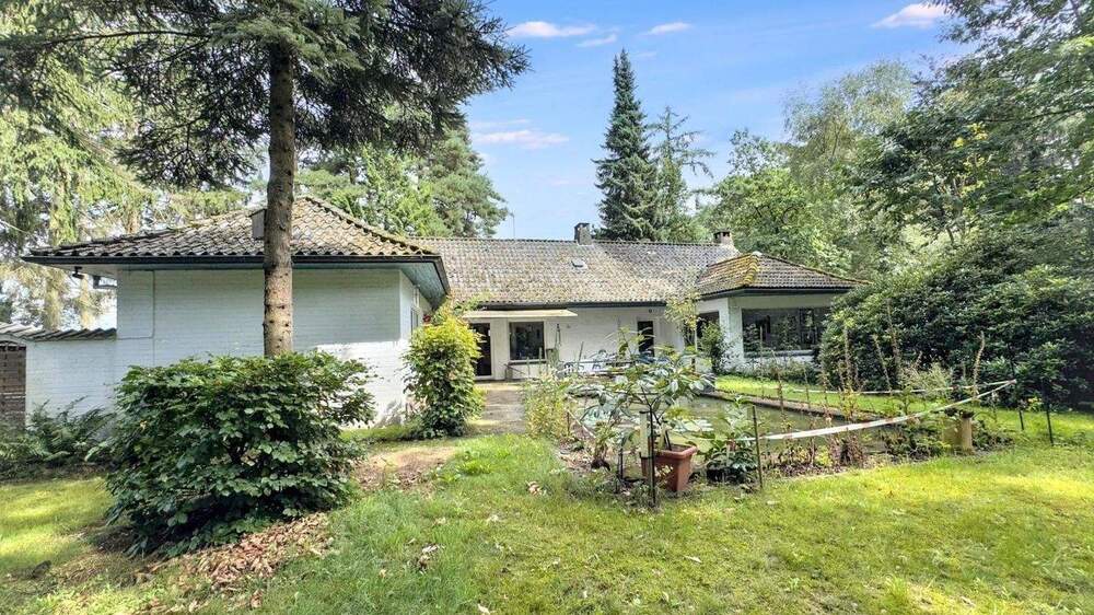 Bequemer Bungalow mit großem Grundstück und naturnaher Lage zimmer