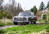 Gebrauchtwagen Mercedes 250 SE