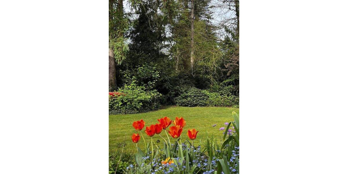 Bungalow Bremen Borgfeld - 8 Zimmer, 160 m&sup2;, 750.000&euro; | Angebot:26805520