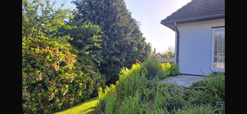 Bungalow Bassum - 5 Zimmer, 150 m&sup2;, 345.000&euro; | Angebot:26890520