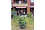 Terrassenwohnung Bremen Burglesum - 2 Zimmer, 60 m&sup2;, 189.999&euro; | Angebot:26992150