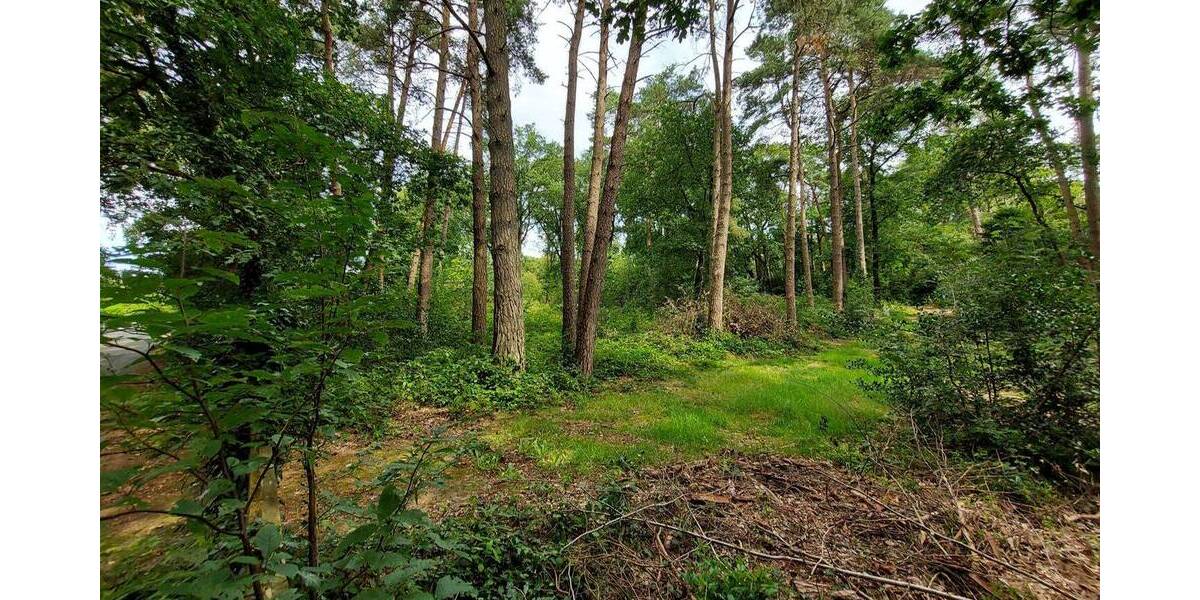 Grundstück Worpswede / Neu Sankt Jürgen Neu Sankt Jürgen - 165.000&euro; | Angebot:22598456