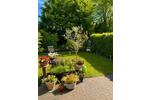 Doppelhaushälfte Bremen Osterholz - 4 Zimmer, 105 m&sup2;, 365.000&euro; | Angebot:26883914