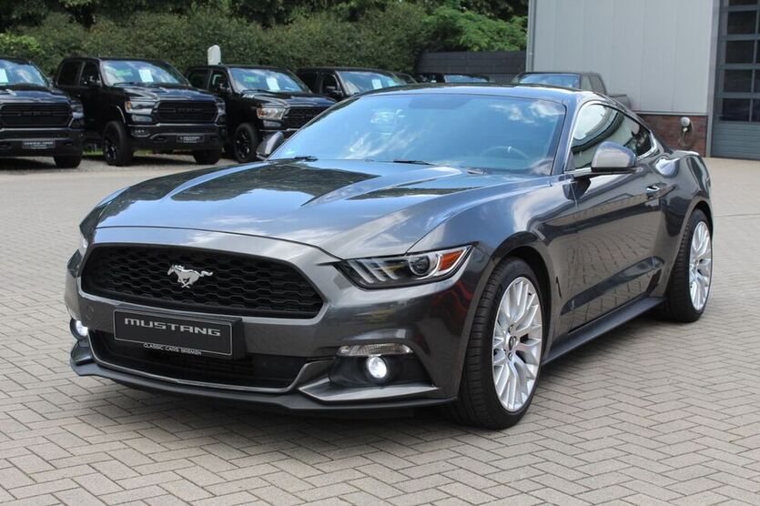 Mustang
