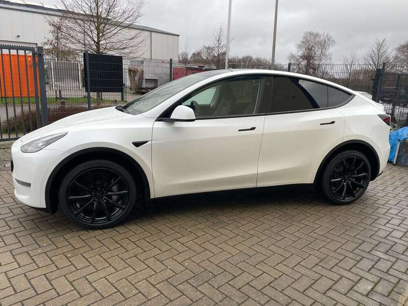 Model Y