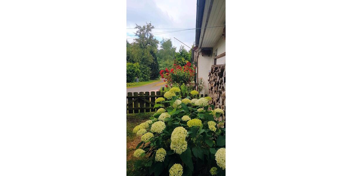 Mehrfamilienhaus, Wohnhaus Grasberg - 6 Zimmer, 170 m&sup2;, 435.000&euro; | Angebot:27017918