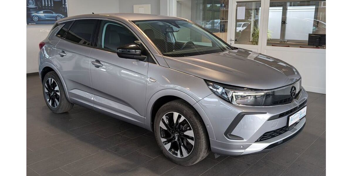 Opel Grandland (X) 123.245 km 17.950 &euro; Achim Bierden 28832