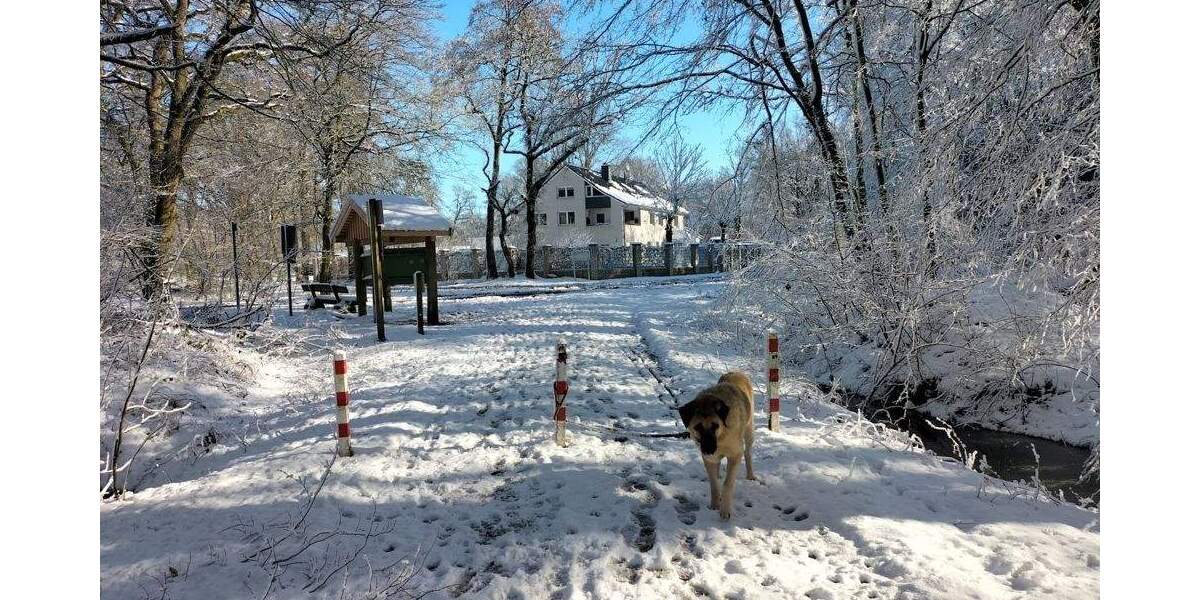 Gewerbeobjekt Ganderkesee Hohenböken - 1.450.000&euro; | Angebot:25741606