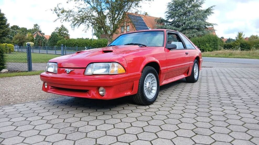 Mustang
