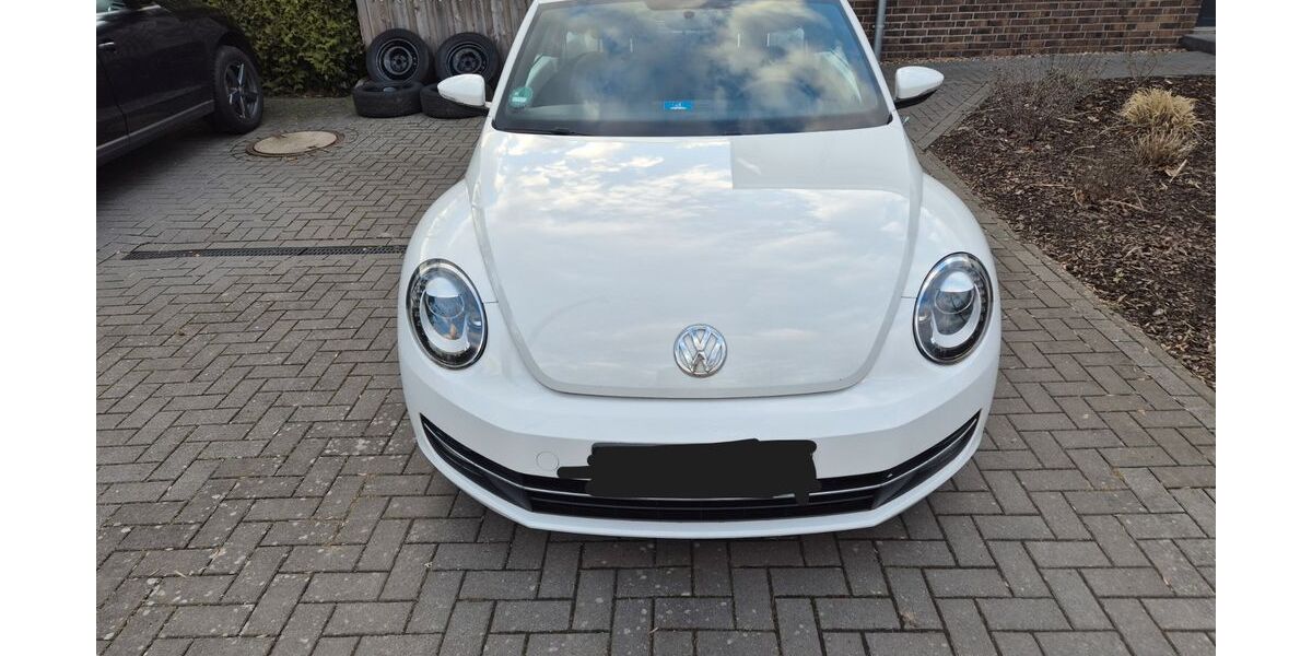 VW Beetle 101.000 km 8.000 &euro; Bremen 28197