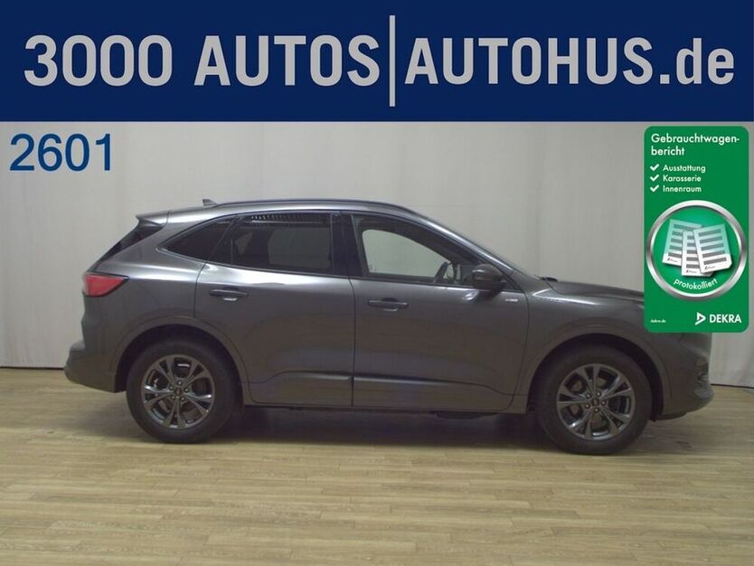 Kuga