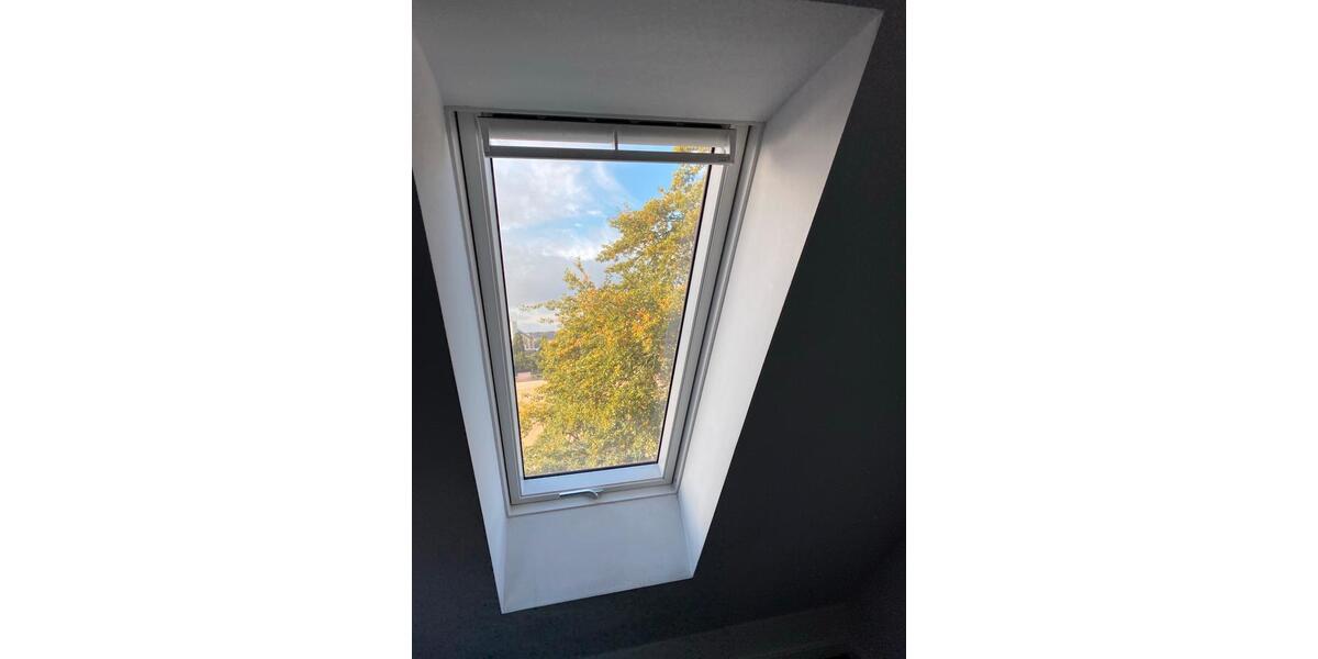 Reihenhaus Bremen Gröpelingen - 9 Zimmer, 288 m&sup2;, 590.000&euro; | Angebot:26993800