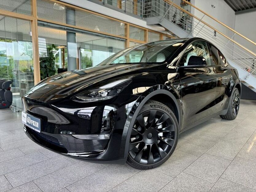 Model Y