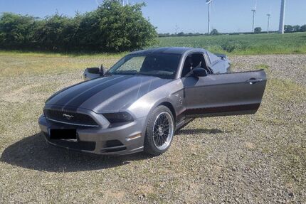 Ford Mustang 105.000 km 18.500 &euro; Blender 27337